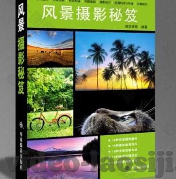 大象互娱传媒有限公司-大象互娱，重塑娱乐产业的新生力量